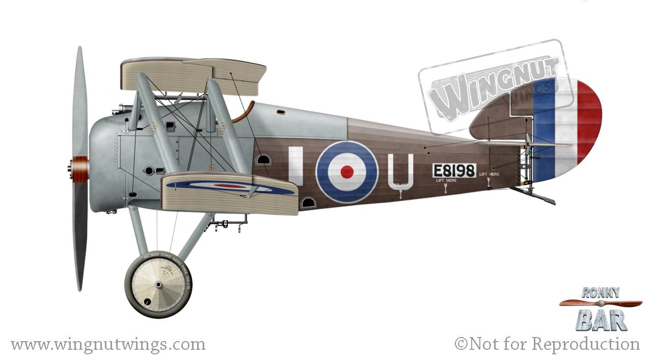 Wingnut Wings - 1/32 Sopwith Snipe (Late)